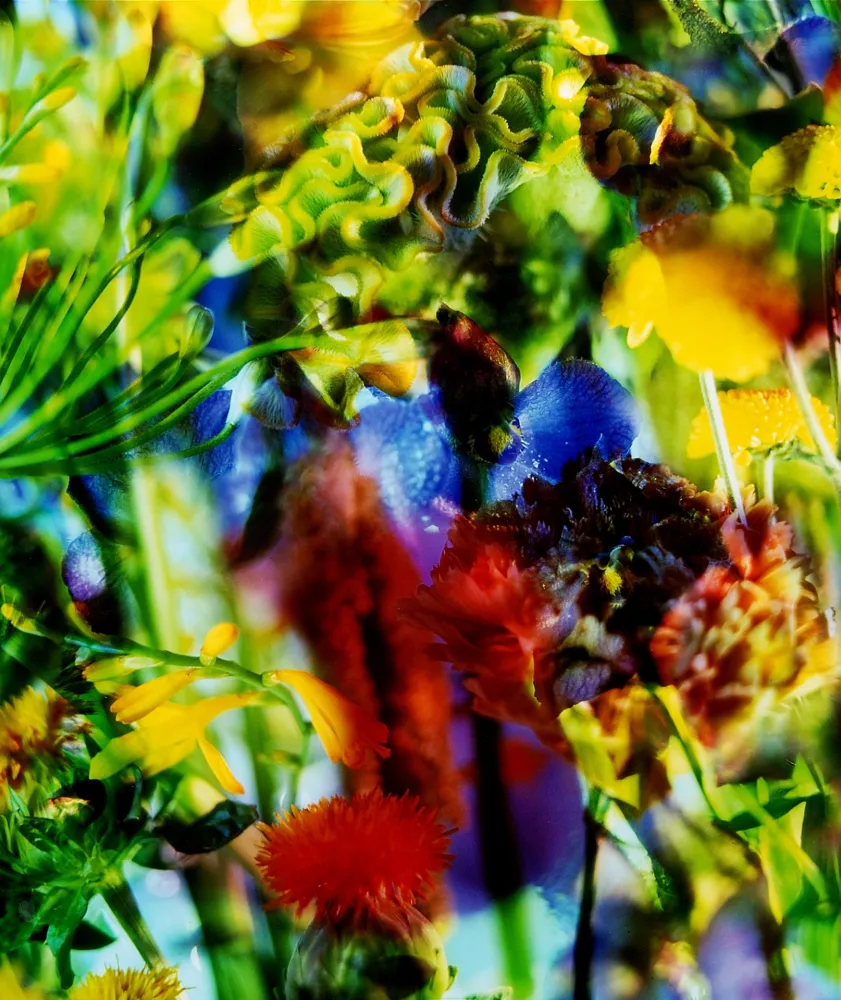 No Technical Lafontaine - Paradise Lost II