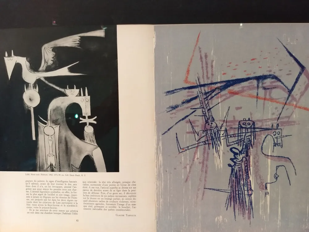 Illustrated Book Lam - Xxe No 21