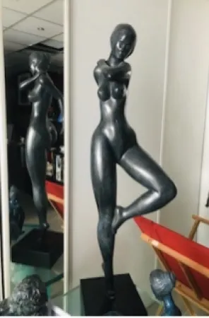 No Technical Laniau - Hirondelle