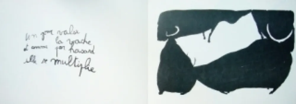 Illustrated Book Lebelle - Vaches d'Inde