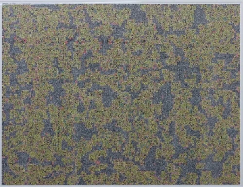 Numeric Print Leherpeur - Compression ADS 2