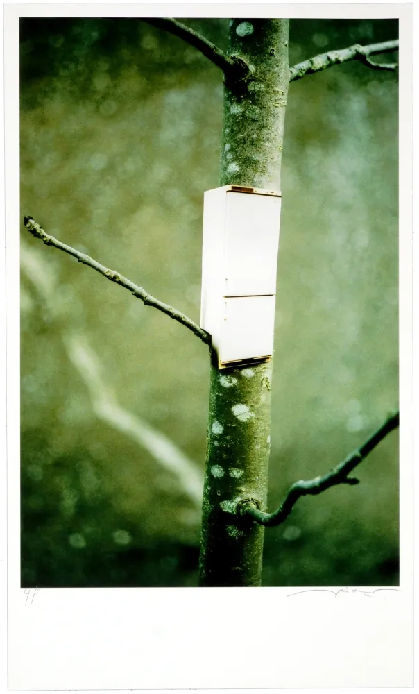 Numeric Print Leick - Greffes et greffons I