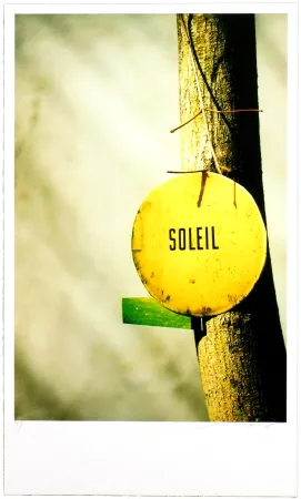 Numeric Print Leick - Greffes et greffons, II