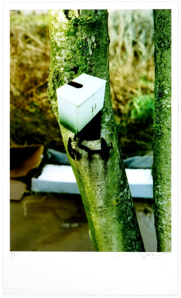 Numeric Print Leick - Greffes et greffons III