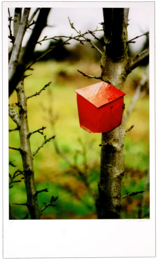 Numeric Print Leick - Greffes et greffons IV