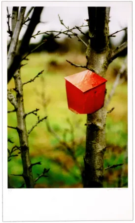 Numeric Print Leick - Greffes et greffons IV