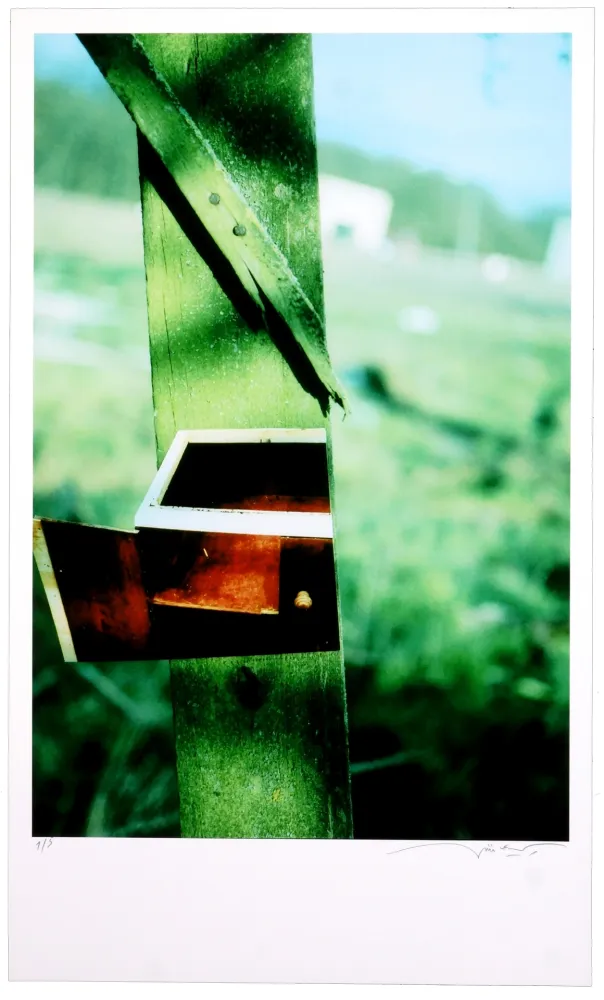 Numeric Print Leick - Greffes et greffons VI