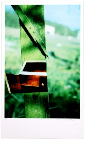 Numeric Print Leick - Greffes et greffons VI