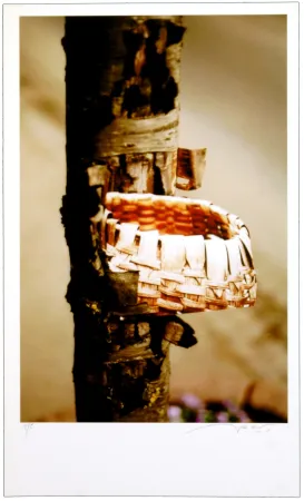 Numeric Print Leick - Greffes et greffons VIII