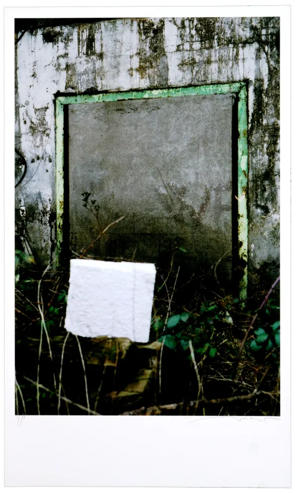 Numeric Print Leick - Greffes et greffons VIII