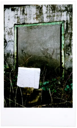 Numeric Print Leick - Greffes et greffons VIII