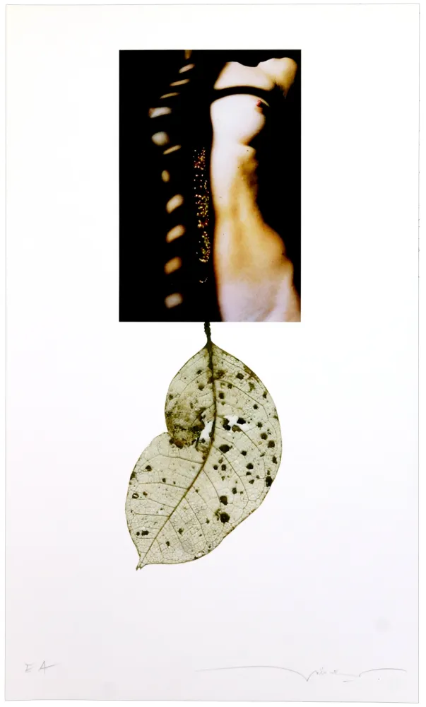 Numeric Print Leick - Sans titre I