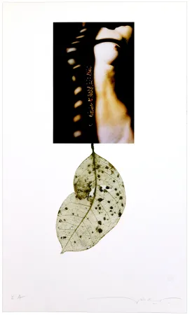 Numeric Print Leick - Sans titre I