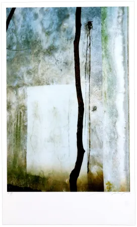 Numeric Print Leick - Window, 