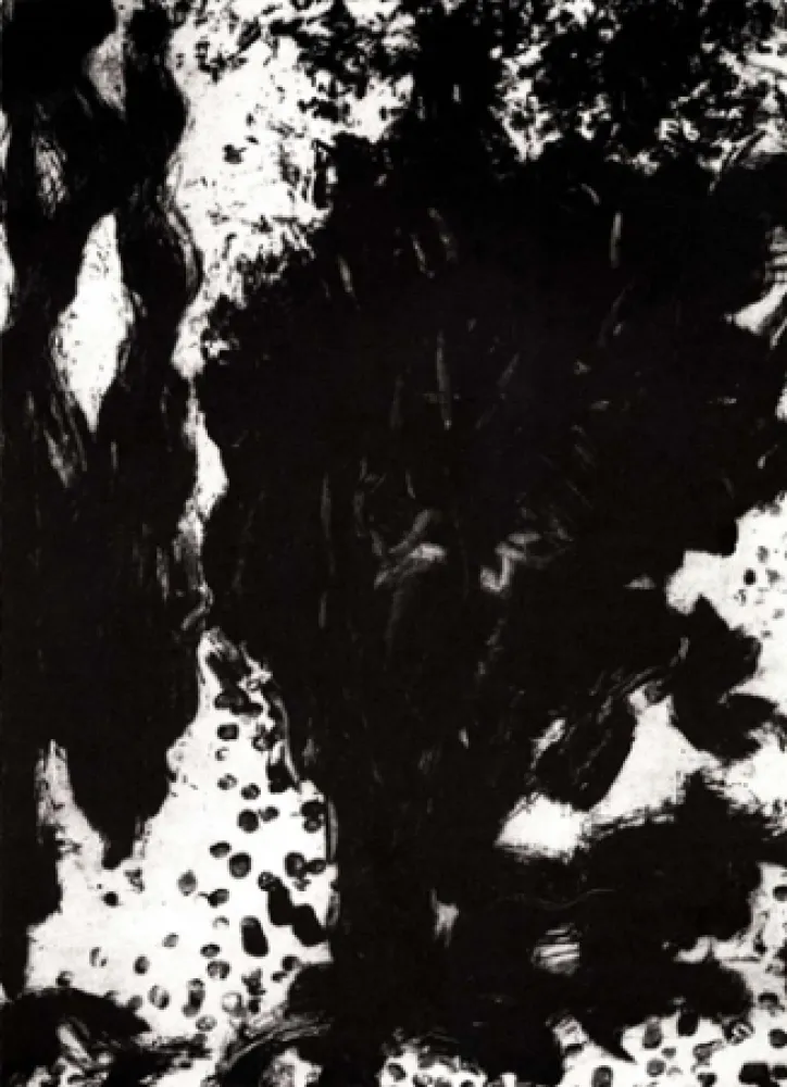 Etching León - Luz de luna II