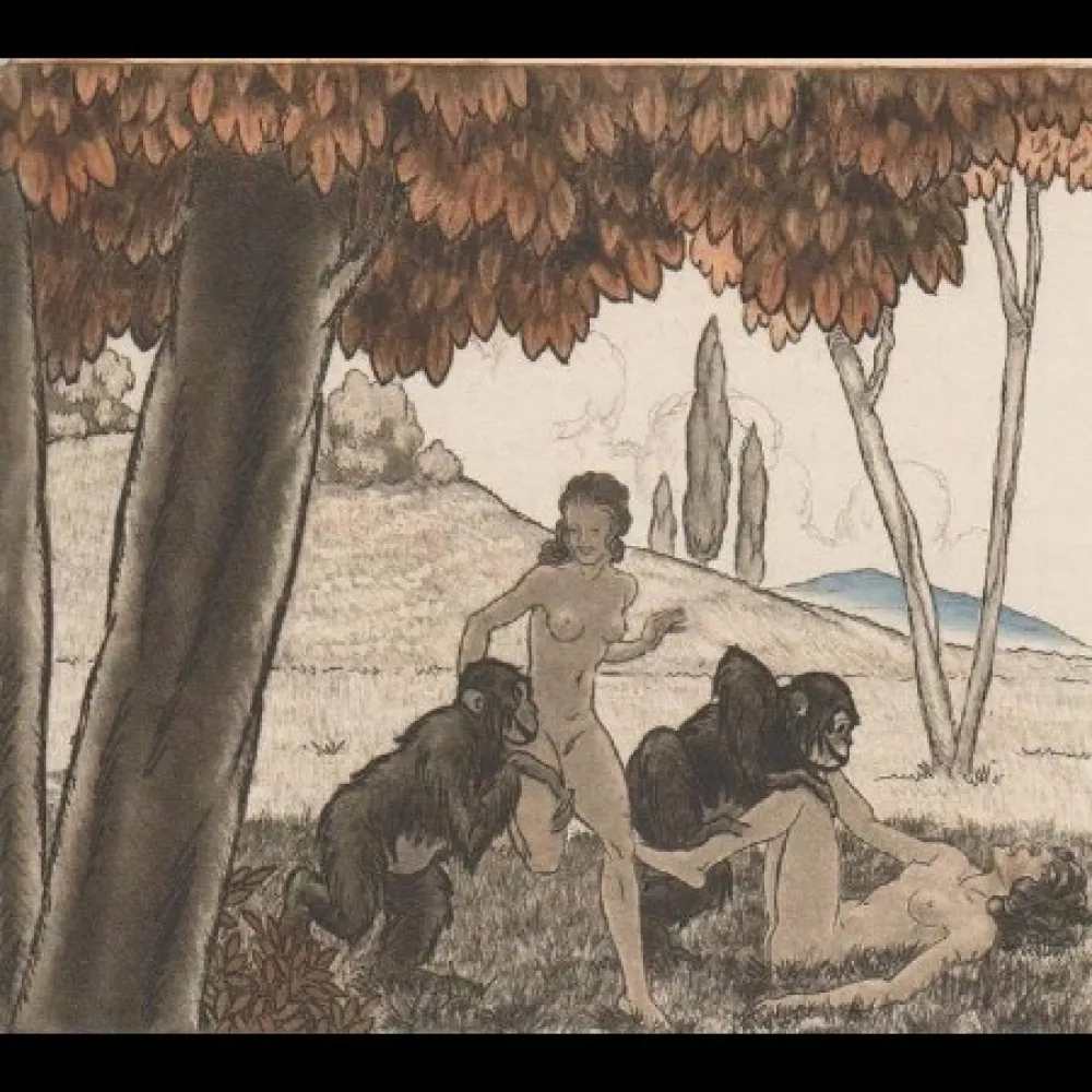 Illustrated Book Leroy  - Candide, ou l'optimisme