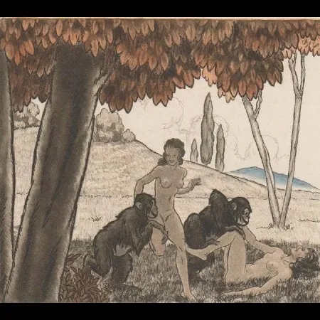 Illustrated Book Leroy  - Candide, ou l'optimisme