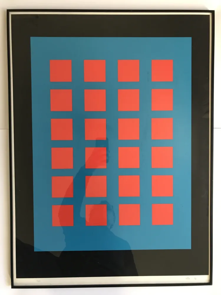 Screenprint Leviant - Magic Chips