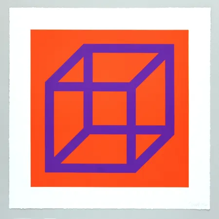 No Technical Lewitt - Open Cube in Color on Color Plate 29