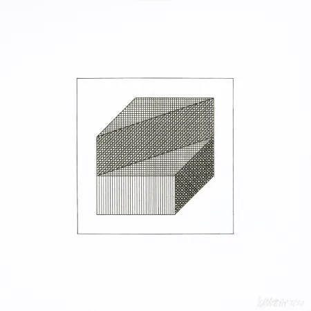 Screenprint Lewitt - Twelve Forms Derived From a Cube 08