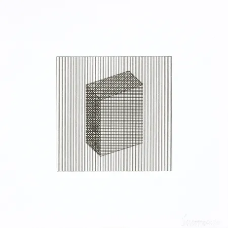 Screenprint Lewitt - Twelve Forms Derived From a Cube 18