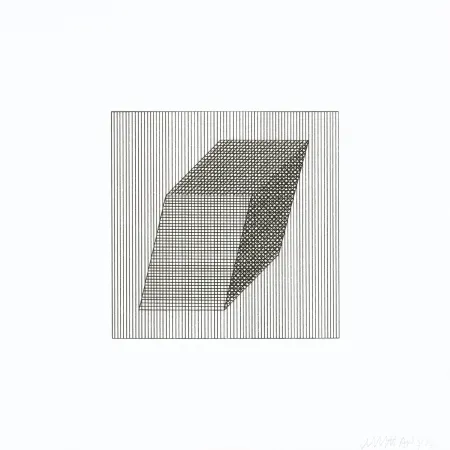 Screenprint Lewitt - Twelve Forms Derived From a Cube 20