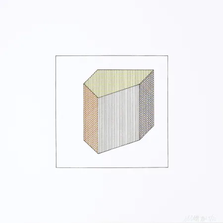 Screenprint Lewitt - Twelve Forms Derived From a Cube 31