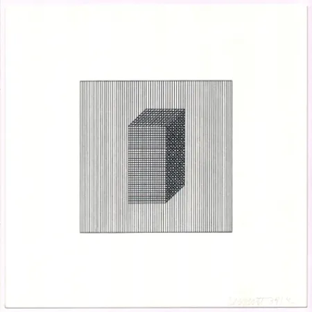 Screenprint Lewitt - Twelve Forms Derived from a Cube (Set of 48) (3)