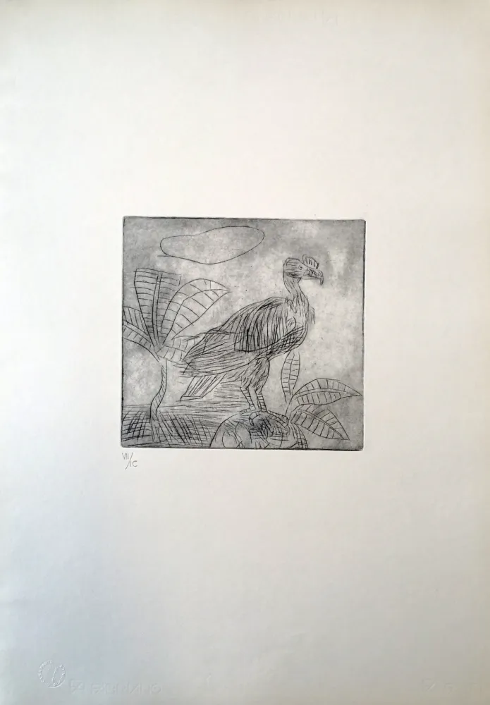 Drypoint Ligabue - Condor