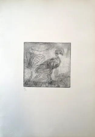 Drypoint Ligabue - Condor