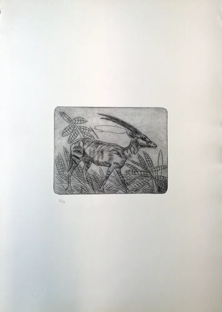 Drypoint Ligabue - Gazzella