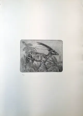 Drypoint Ligabue - Gazzella