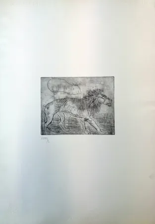 Drypoint Ligabue - Leone
