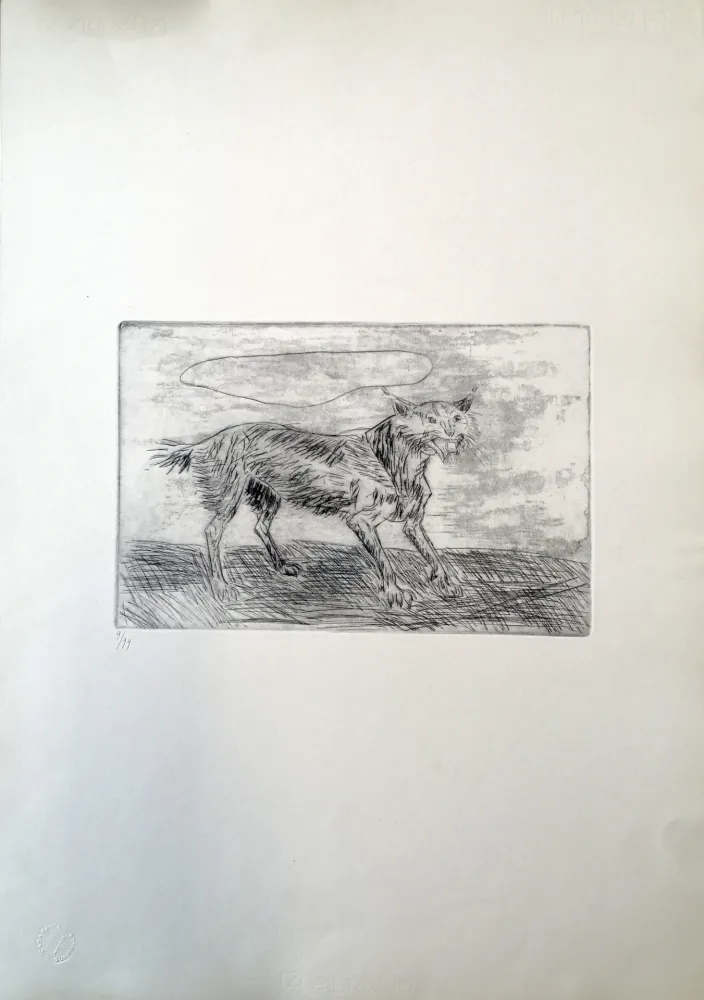 Drypoint Ligabue - Lince