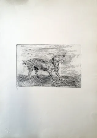 Drypoint Ligabue - Lince