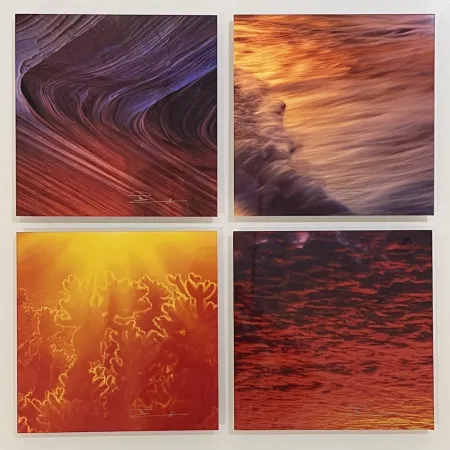 Photography Lik - The Sound & Fury