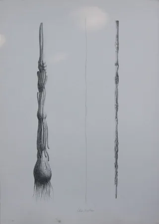 Lithograph Lionni - Due Solee