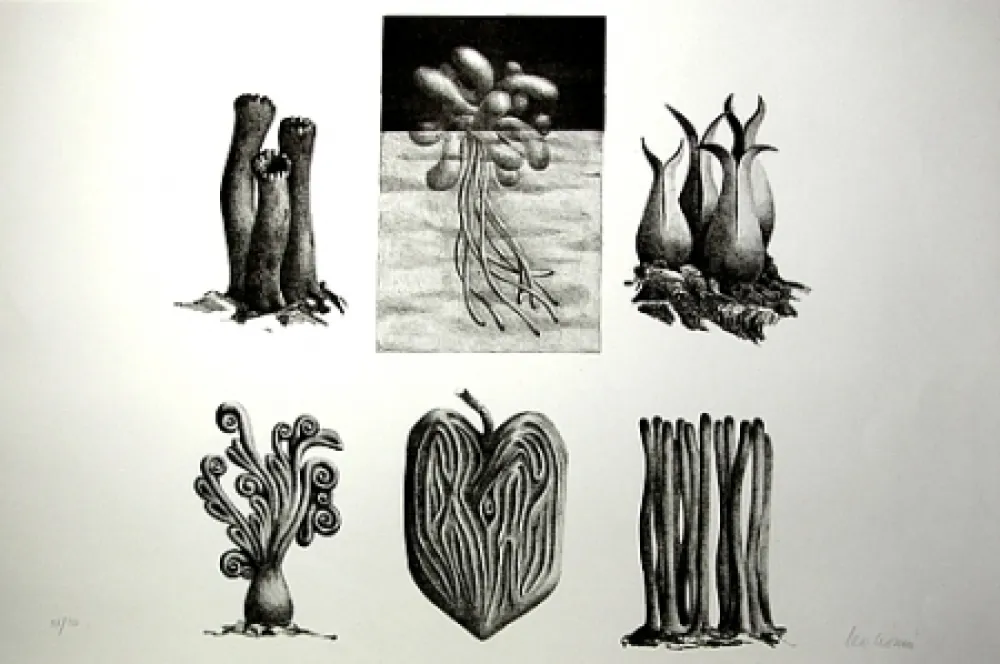 Lithograph Lionni - Senza titolo