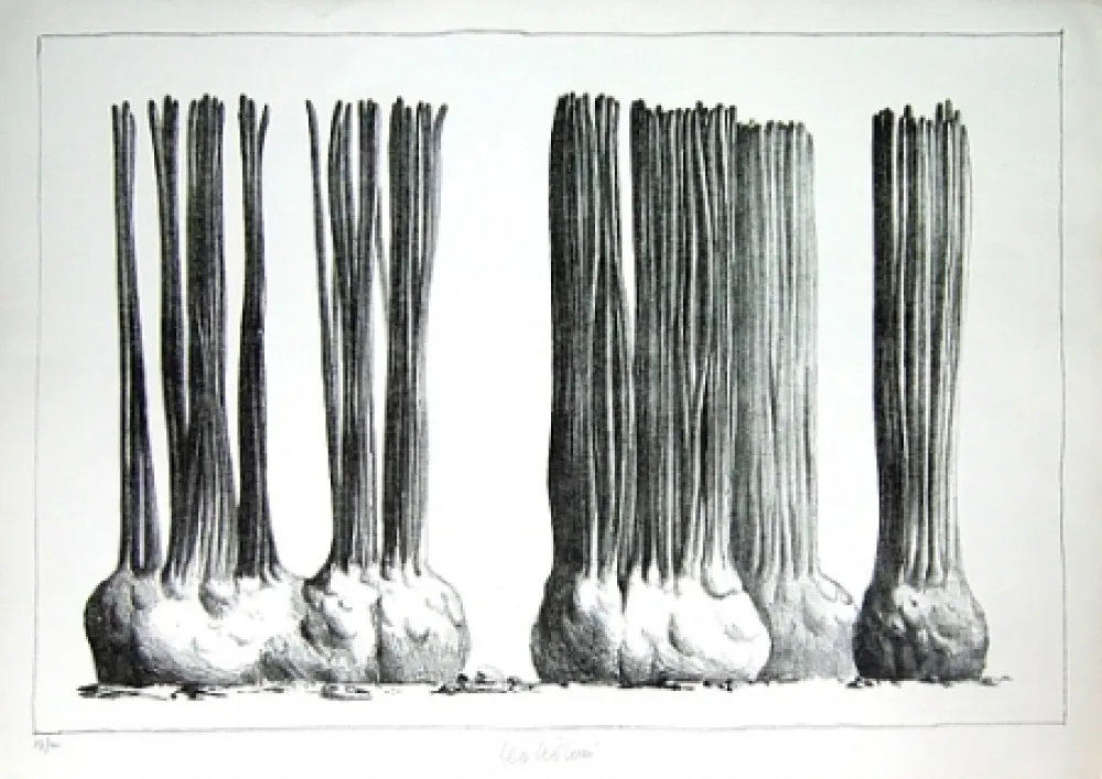 Lithograph Lionni - Taluma trillosa