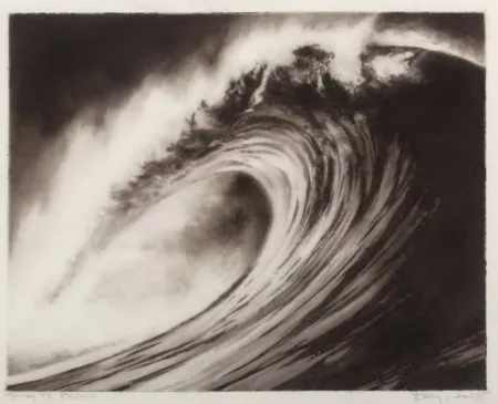 Lithograph Longo - Wave #8 portfolio