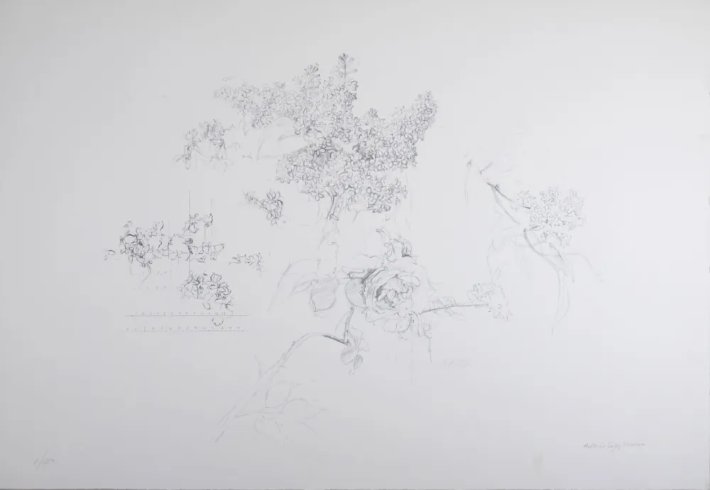 Lithograph López Garcia - Composition