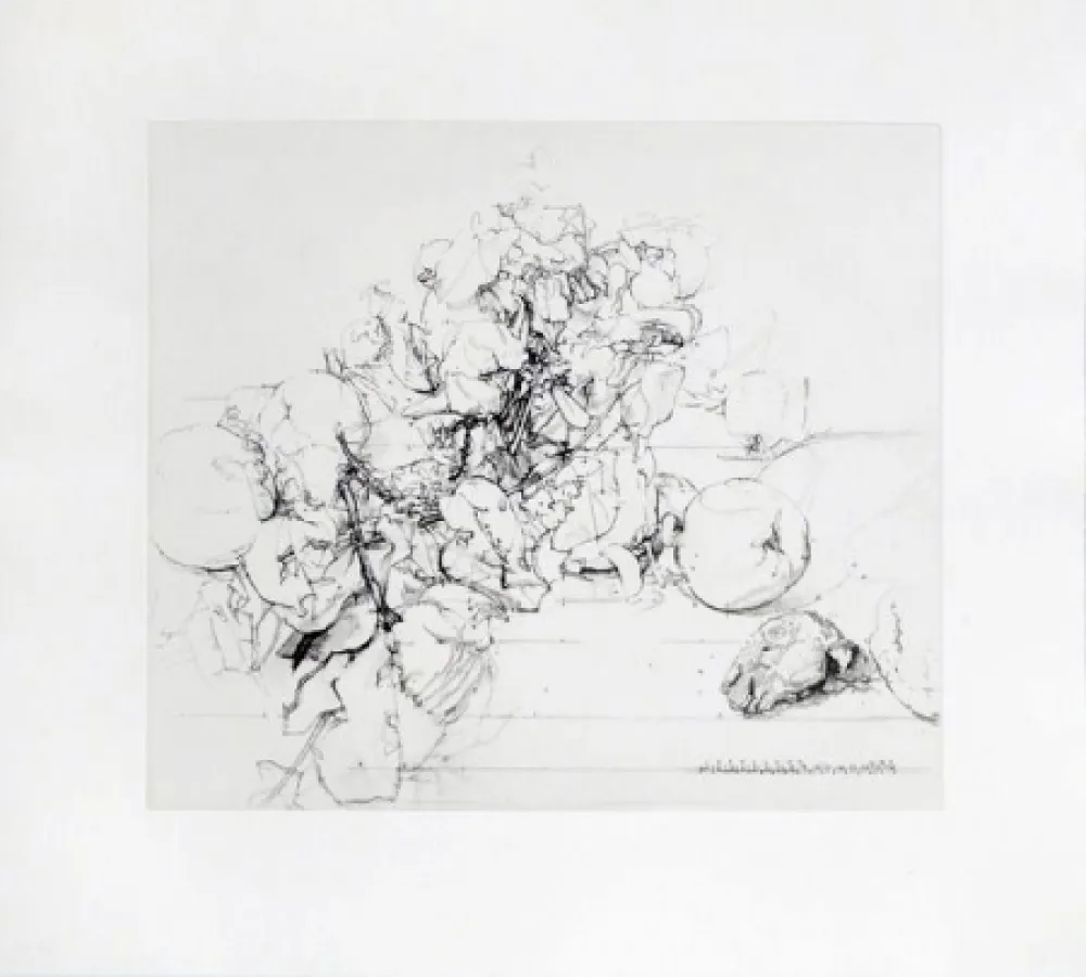 Etching And Aquatint López Garcia - Membrillos, granadas y cabeza de conejo