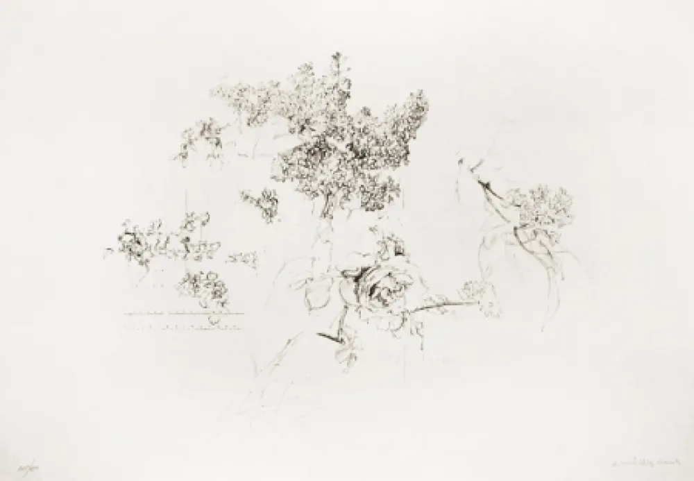 Lithograph López Garcia - Olympic Centennial