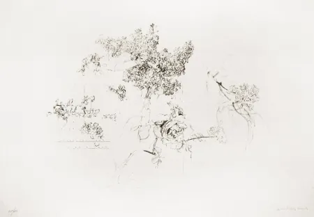 Lithograph López Garcia - Olympic Centennial