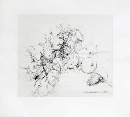 Etching And Aquatint Lopez - Membrillos, granadas y cabeza de conejo