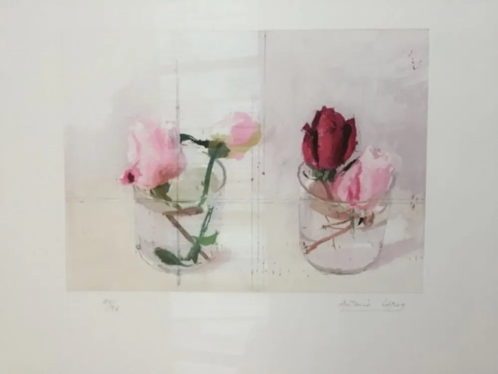 Etching Lopez - Rosas de invierno I