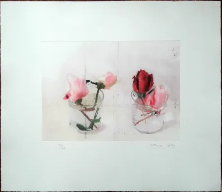 Engraving Lopez - Rosas de invierno II