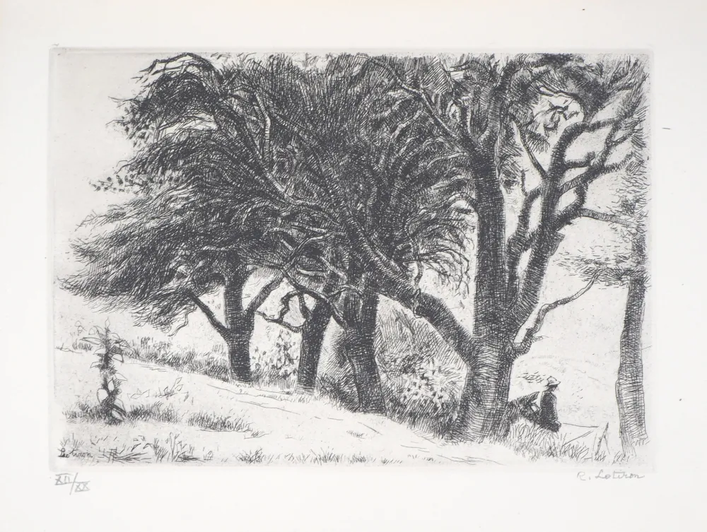 Etching Lotiron - Normandie, les poiriers