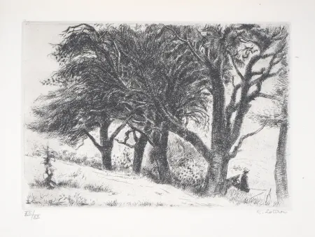 Etching Lotiron - Normandie, les poiriers