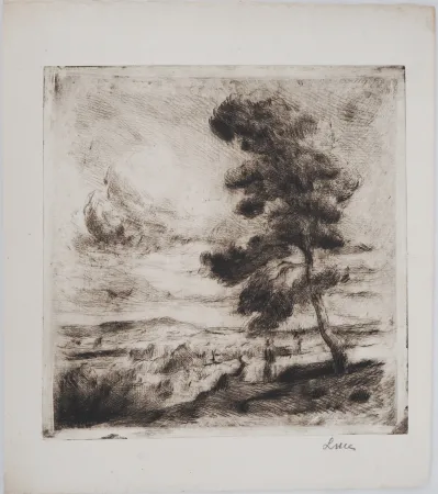 Drypoint Luce - Maximilien LUCE - Paysage de Yonne Vers 1900  - Gravure originale signée